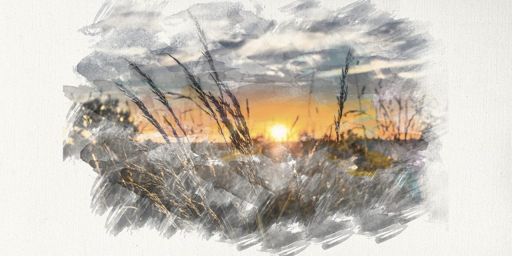 susana gonzalez sunset