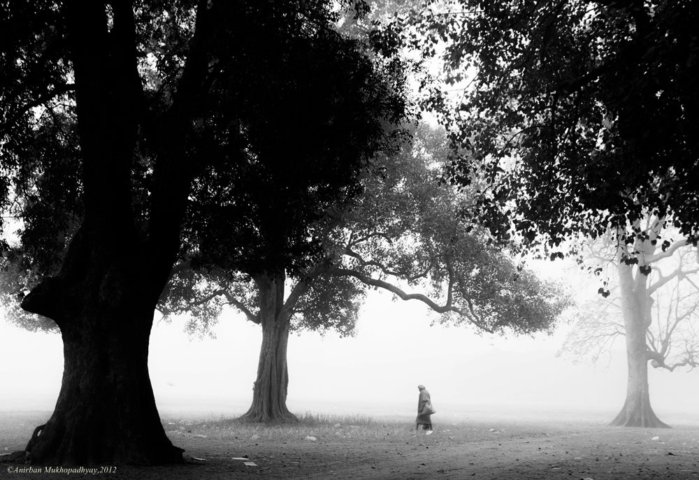 Bengali Poetry