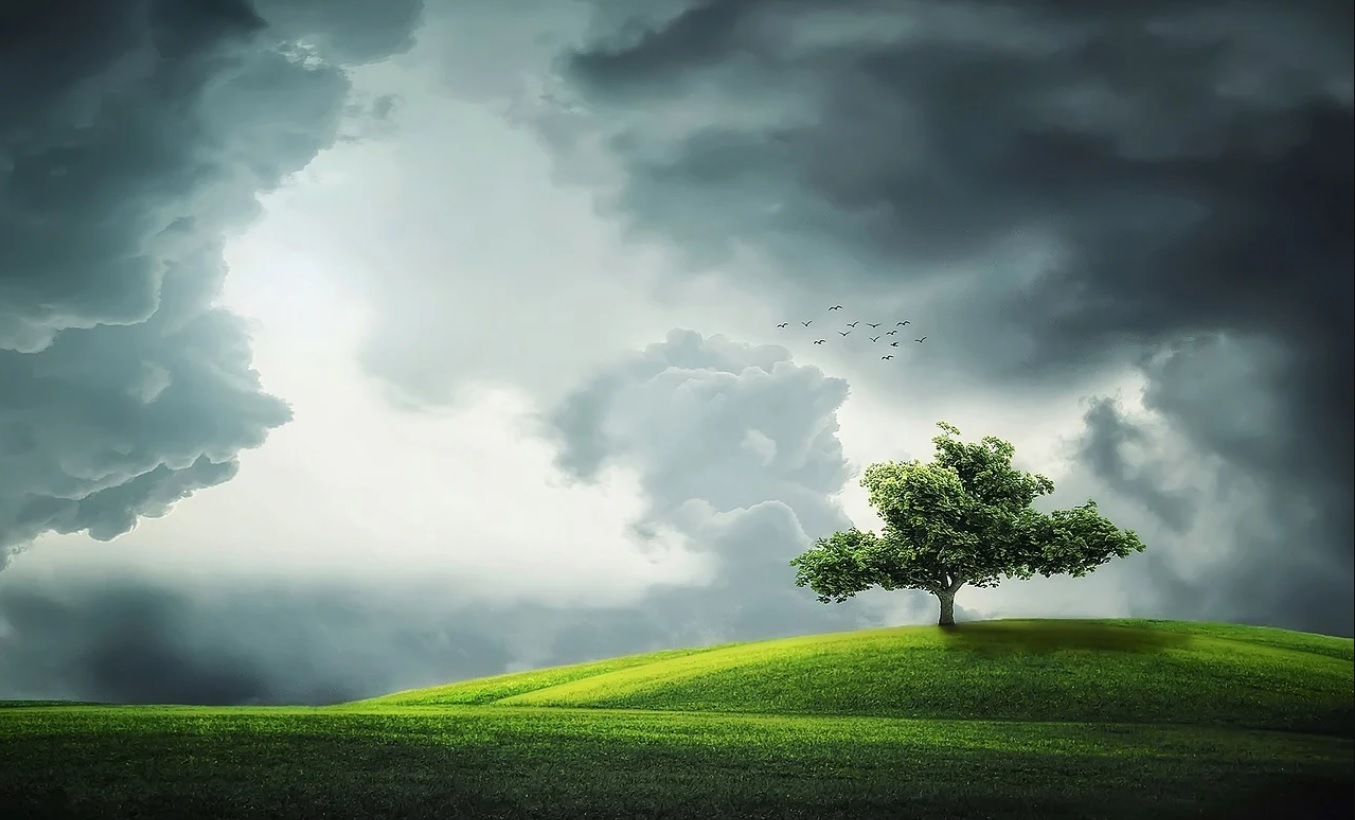 Bengali Poem on Love and Loneliness