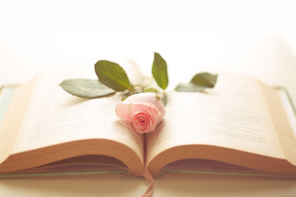 Love books
