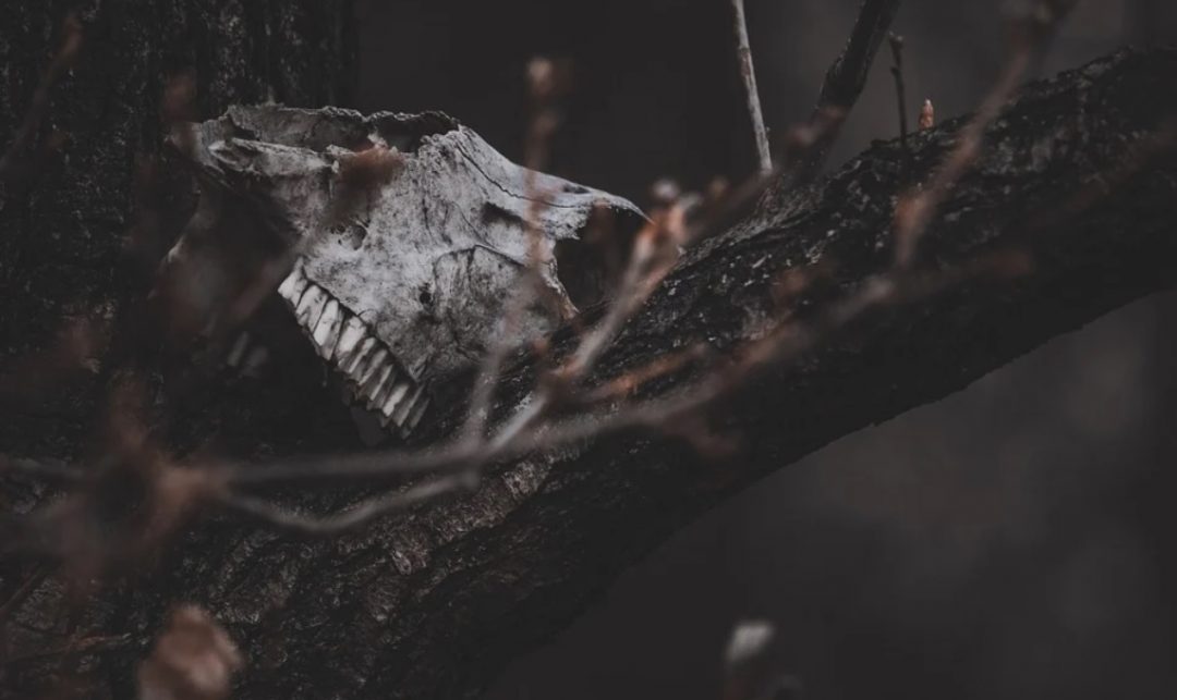Death and all