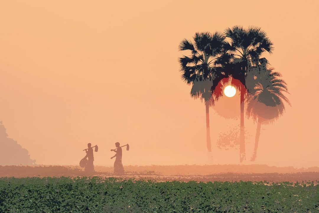 A foggy winter morning