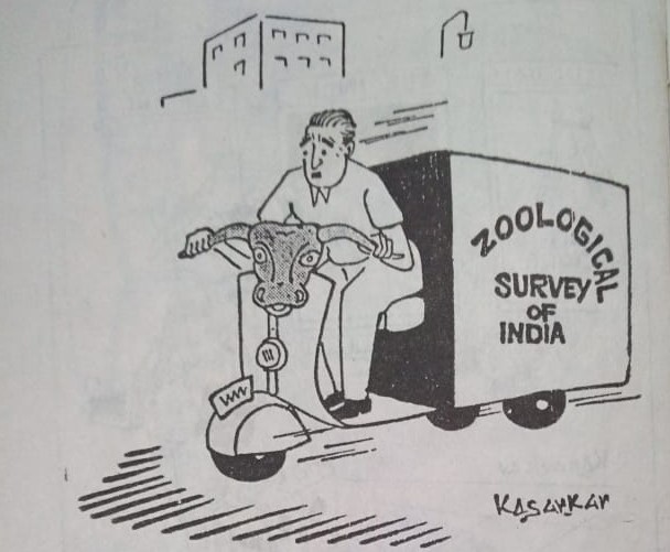 Kamal Sarkar_Cartoon