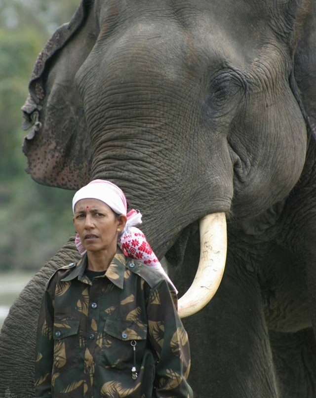 Parbati Barua and elephant
