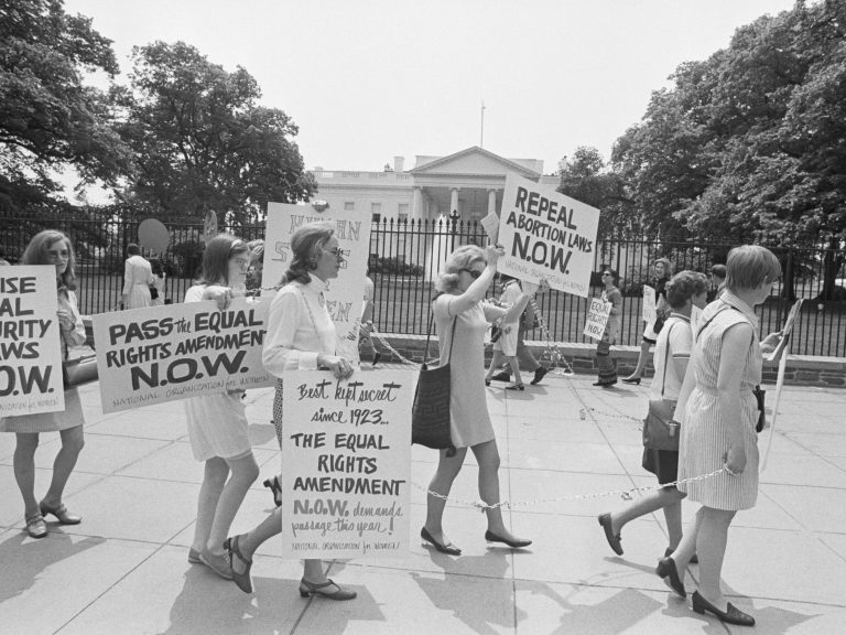 feminist movement 1960s USA