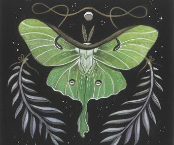 Moth