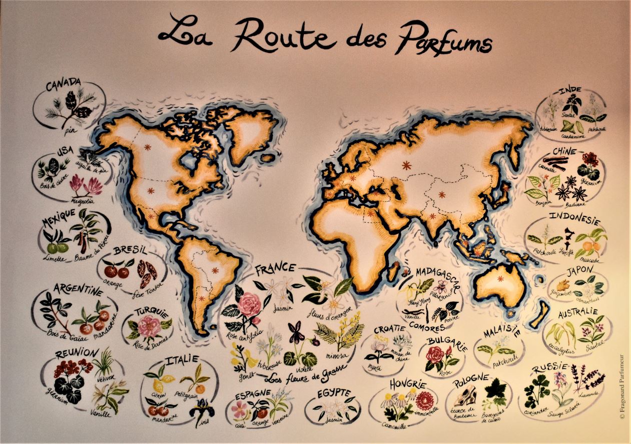 Route des Perfume Grasse