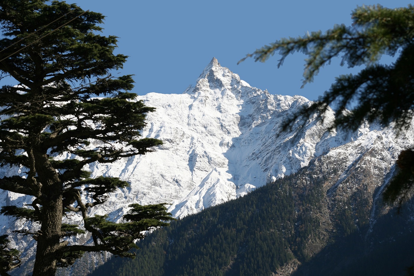 Beauty of Kinnaur Kalpa