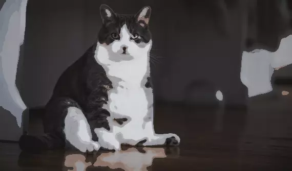 fat cat