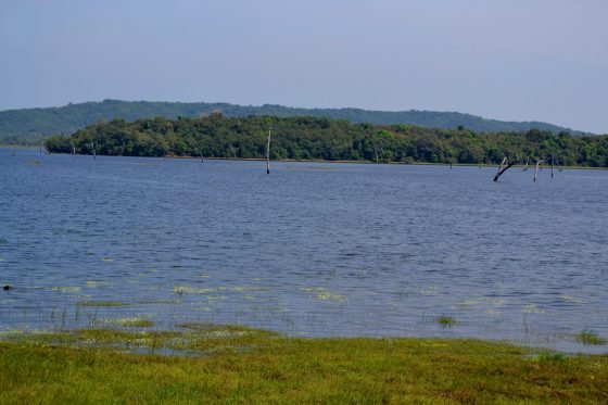 Lake by the roadside
