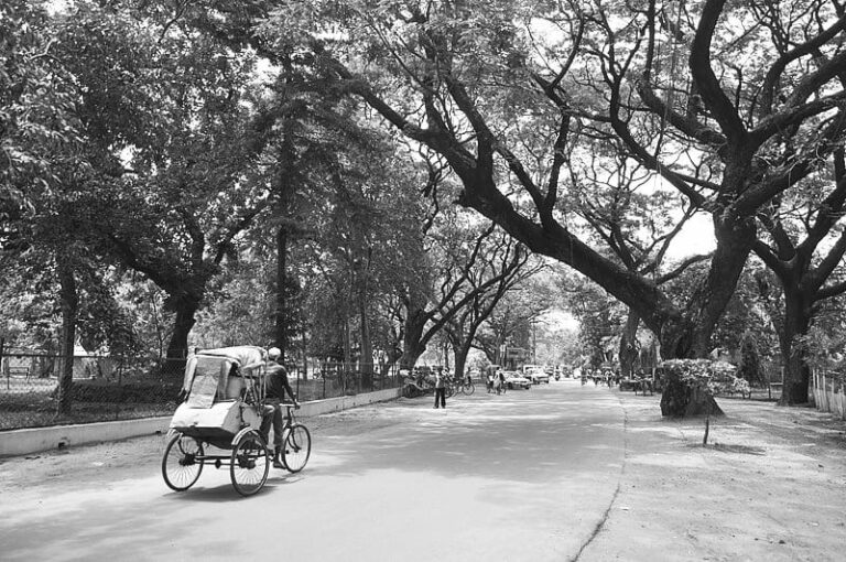 Riksha Santiniketan