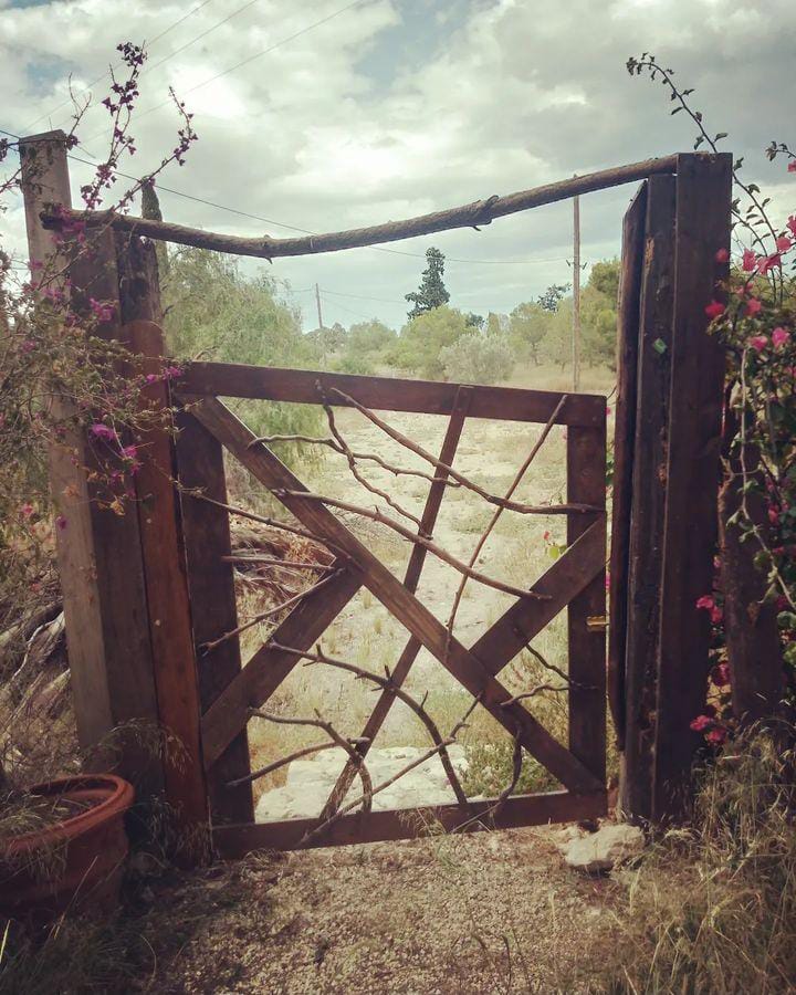 door designed from recycled wood Anja Sophie Birkmann design
