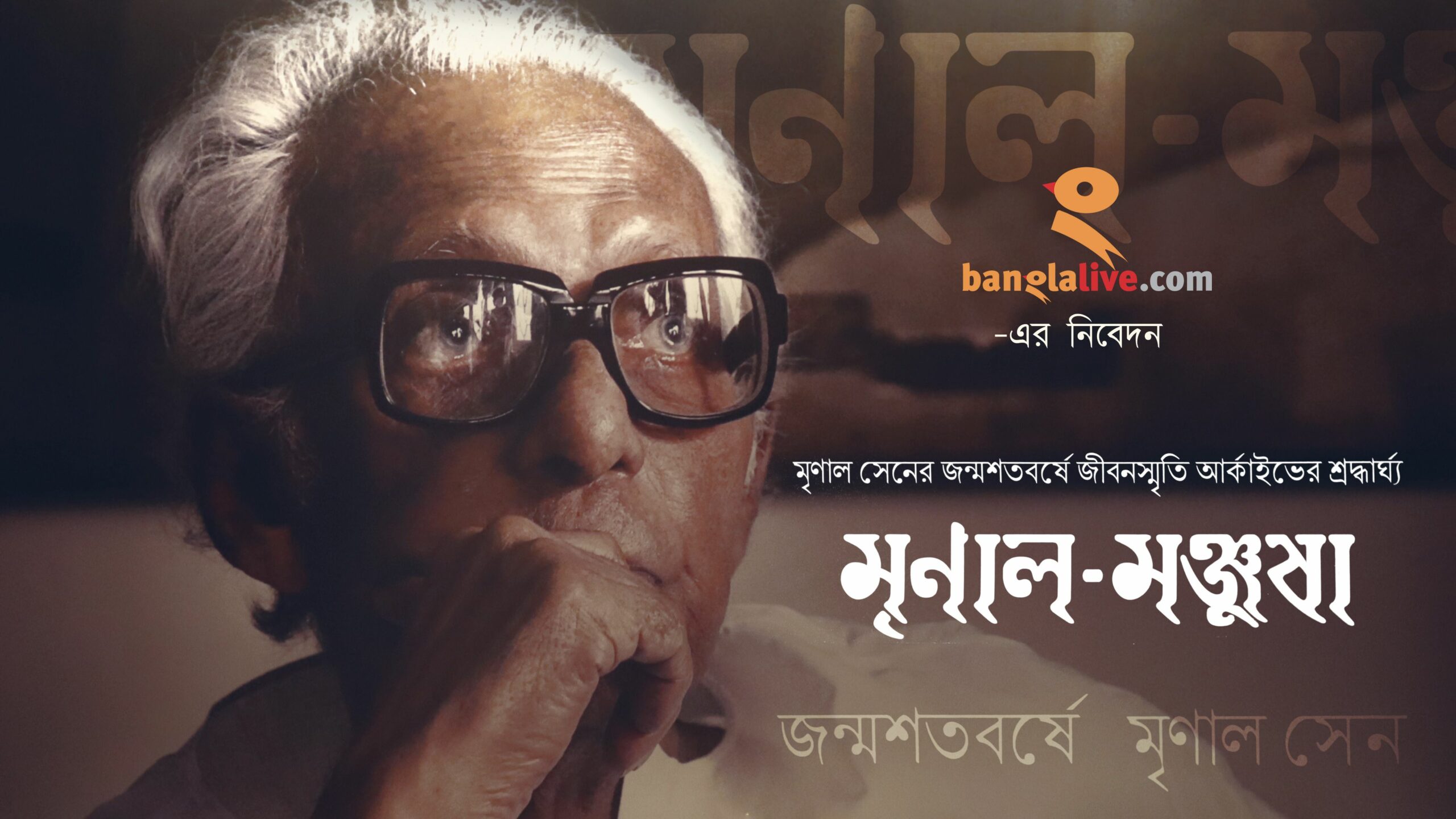 documentary on Mrinal Sen archive