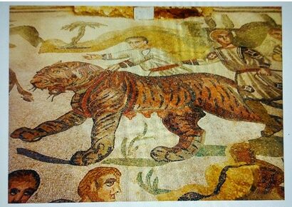 The Great Hunt, in the most famous mosaic in Villa Romana de Casale, an ancient Roman villa in Sicily, which depicts a tigress. Source: Gary Meaney