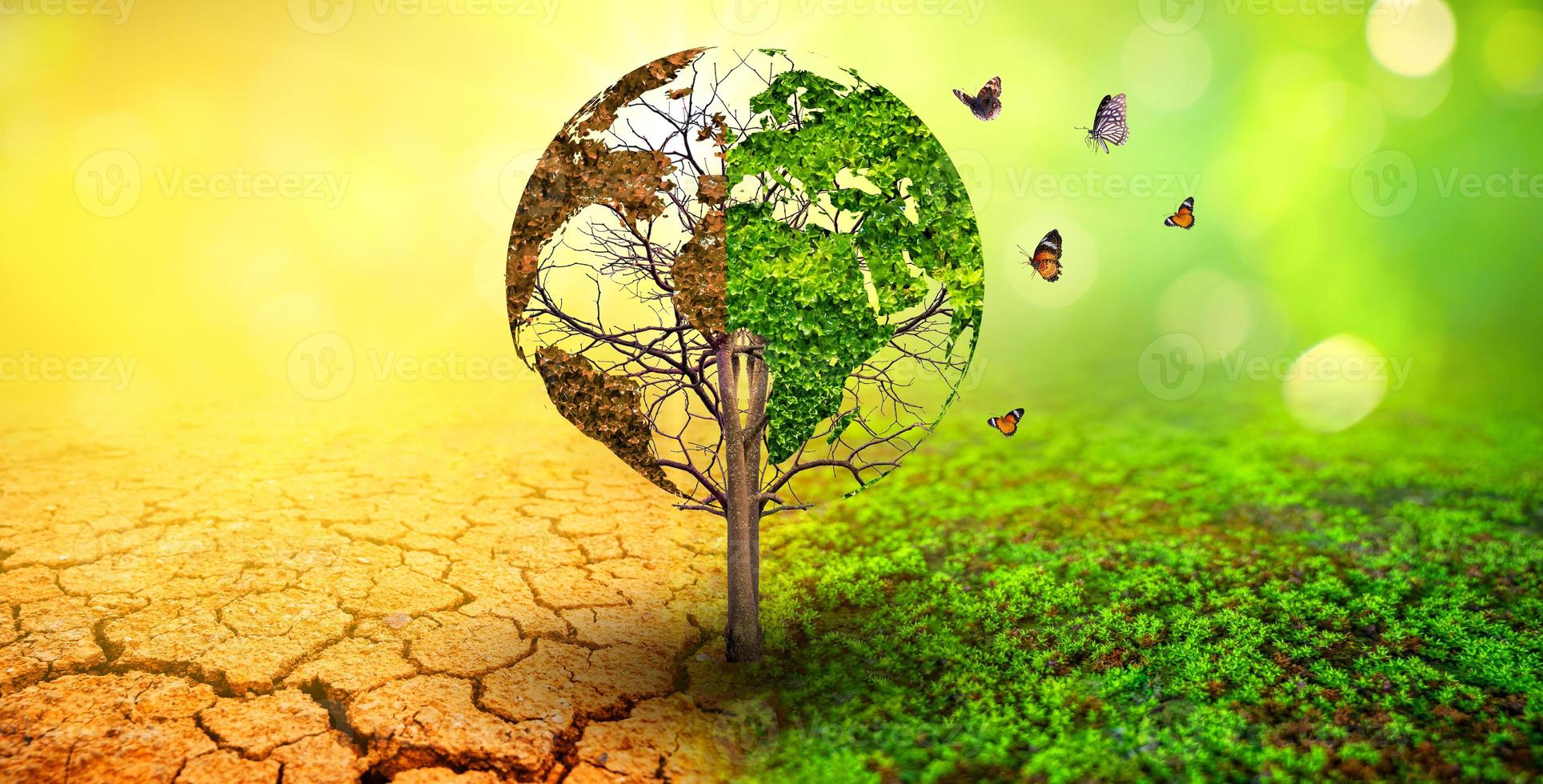 special feature on World nature conservation day