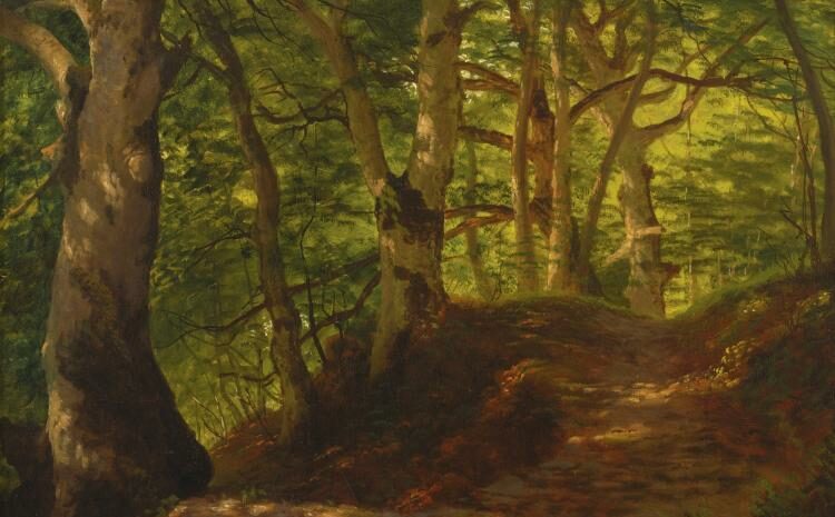 Trees near Waterbody