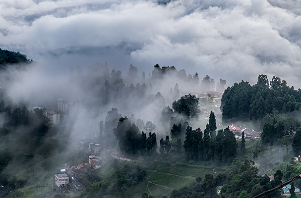 World Photography Day_Ajay Biswas 2