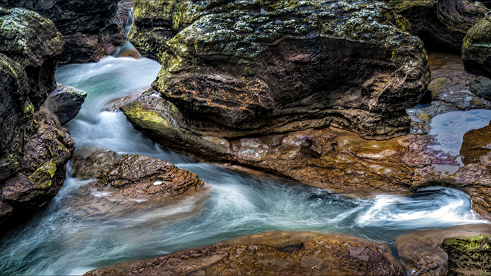 World Photography Day_Ajay Biswas 6