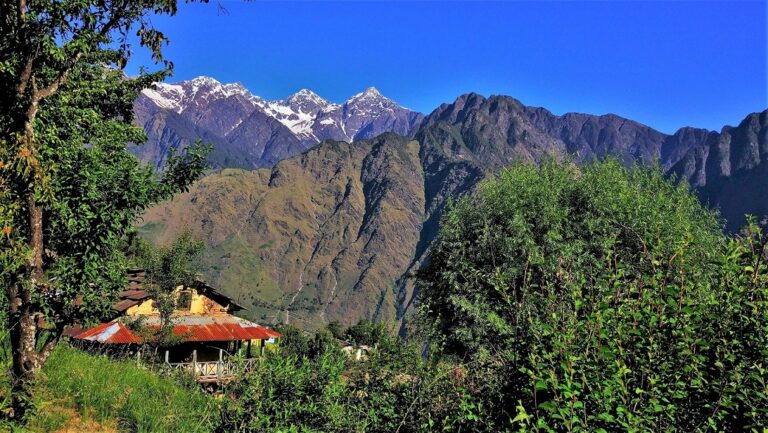 যোশিমঠ থেকে আউলির পথে
