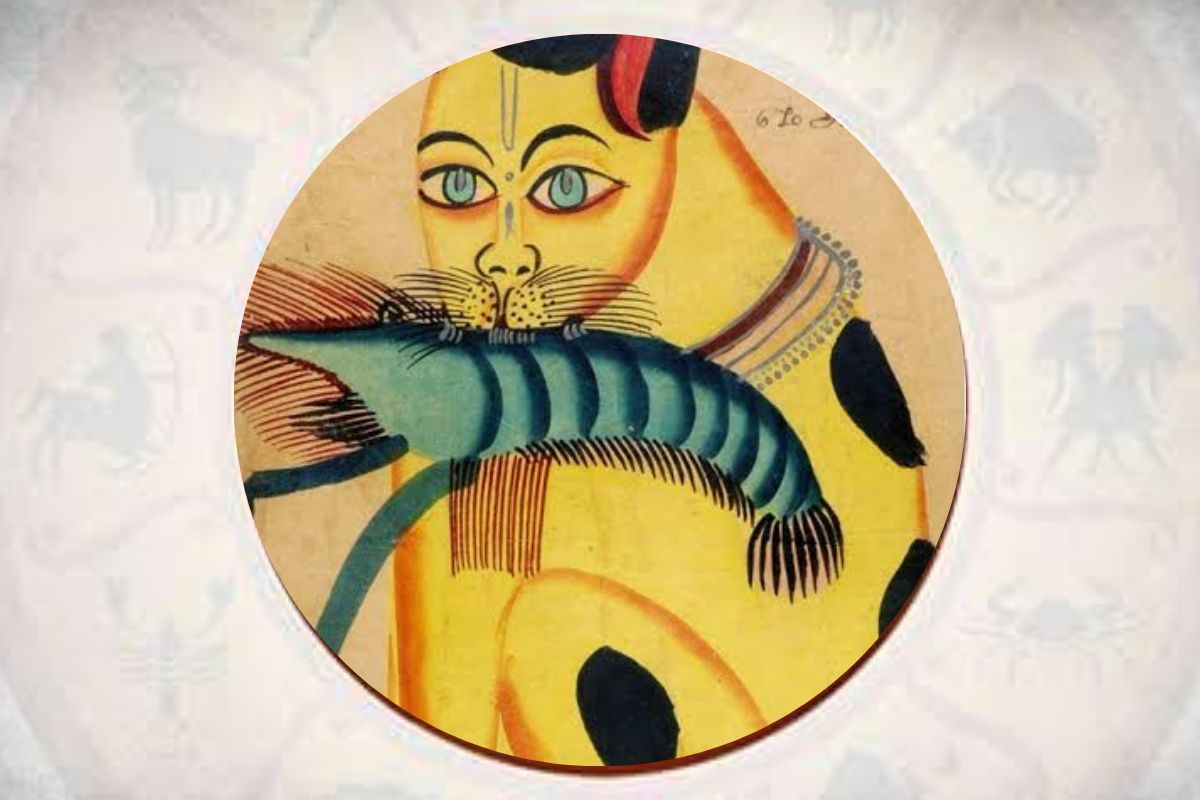 Article on Bengali cuisine & shrimp recipes