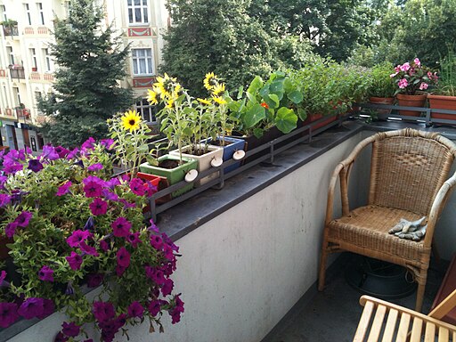 potted plants in a balcony