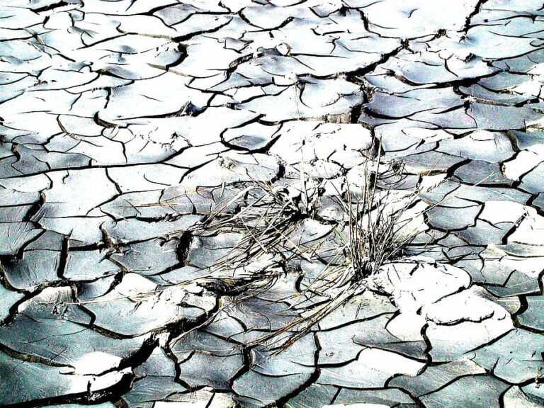 nature-drought-cracks