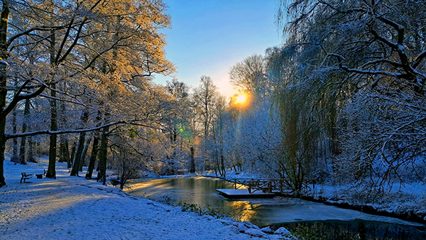 Winter in Sweden cover photo