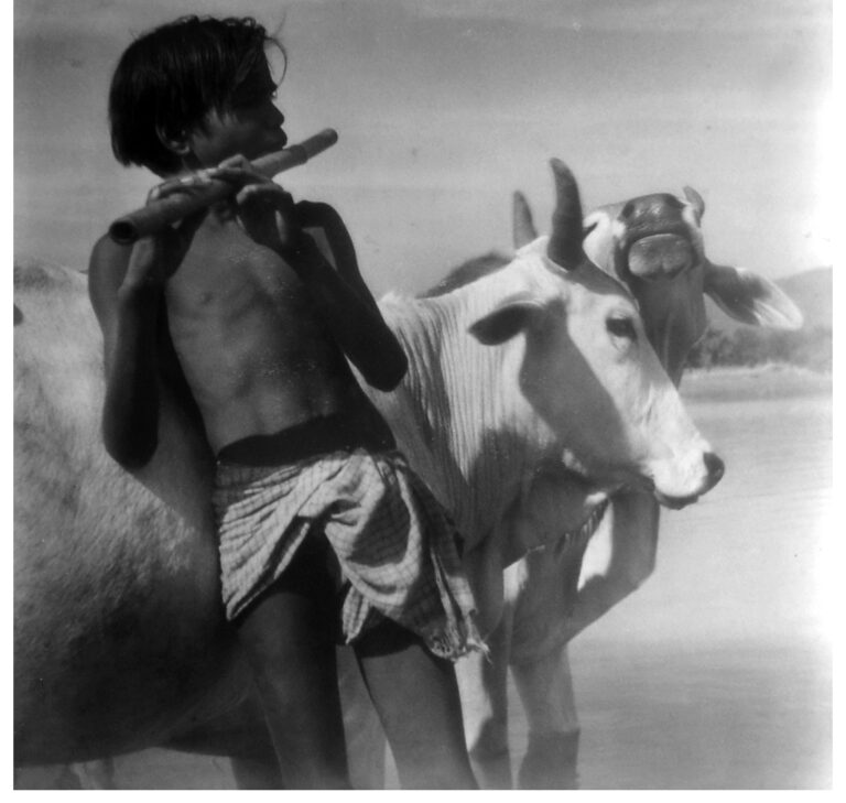 ডাম্ব লিসনার্স