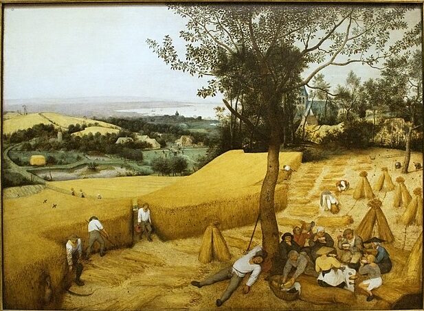 Parthajit_Chanda_Picnic