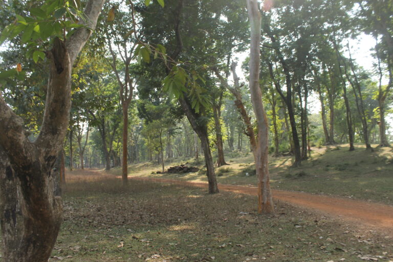 Garh Mandaran