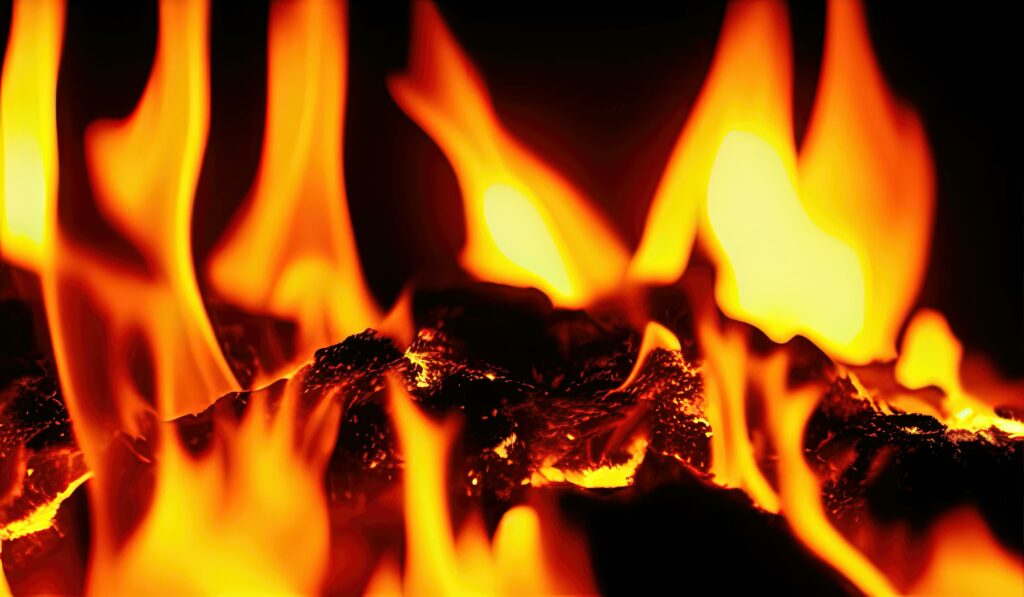 Haunted house_Alolika Mukhopadhyay_31.03.2025