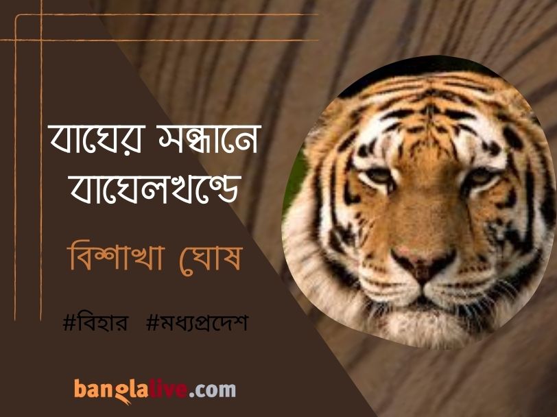 Bandhavgarh, Madhya Pradesh Travelogue cover