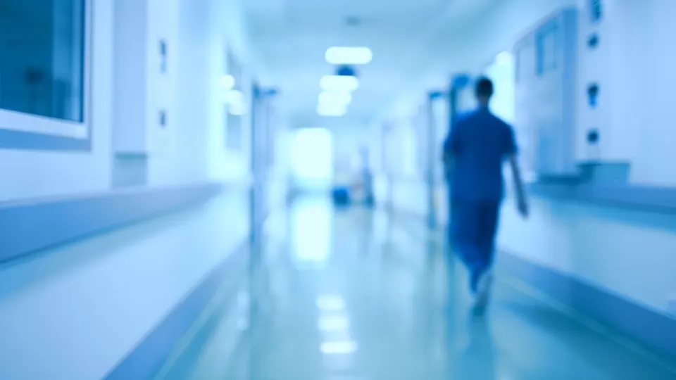 Bengali short story deshantorer swajan by alolika mukherjee