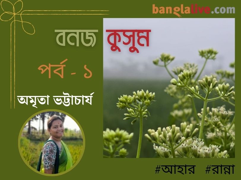 Village food article by Amrita Bhattacharya cover