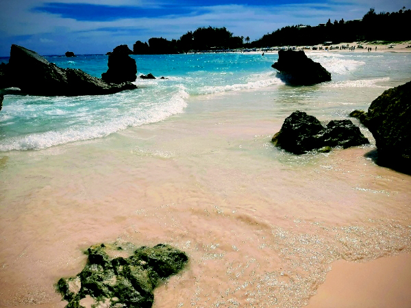 pink beach of Barmuda island