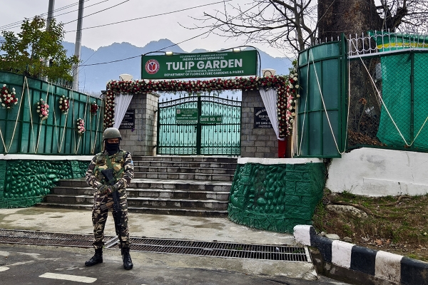 টিউলিপে সেনা পাহারা