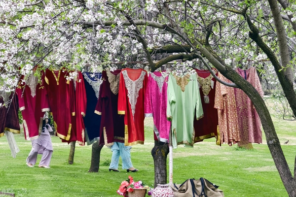 অপ্সরার খোলস