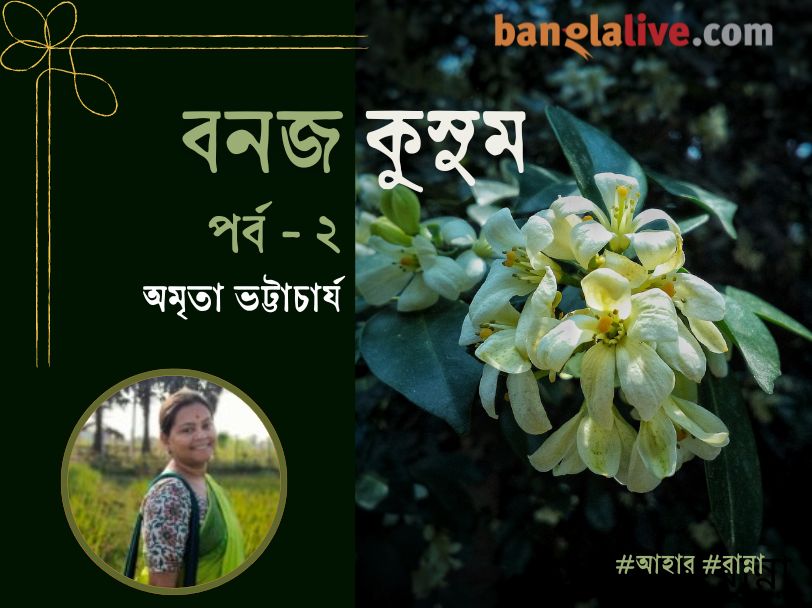 Village food article by Amrita Bhattacharya