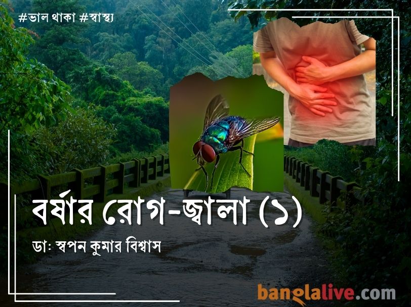 Disease of Rainy season Article on Cholera and Diarrhea