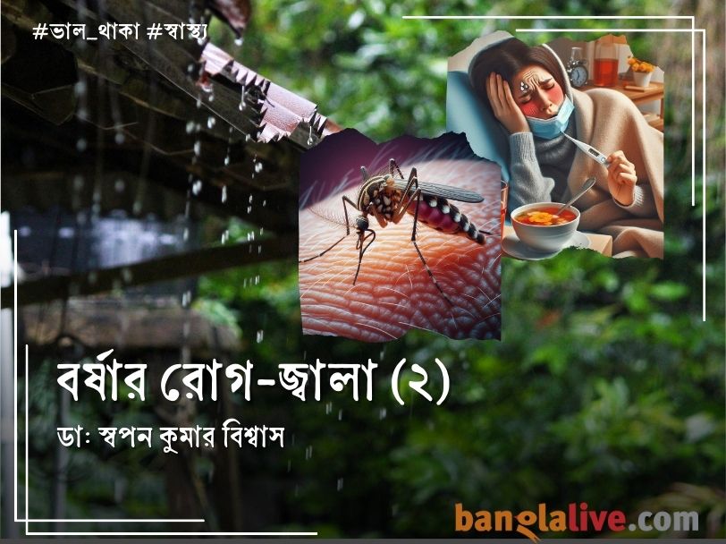 Disease of Rainy season Article cover on Dengue and Malaria