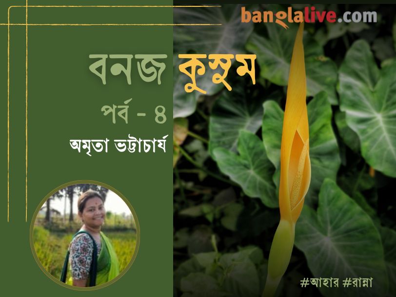 Post monsoon village food recipe article by Amrita Bhattacharya