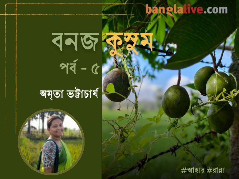 Autumn village food article by Amrita Bhattacharya (2)