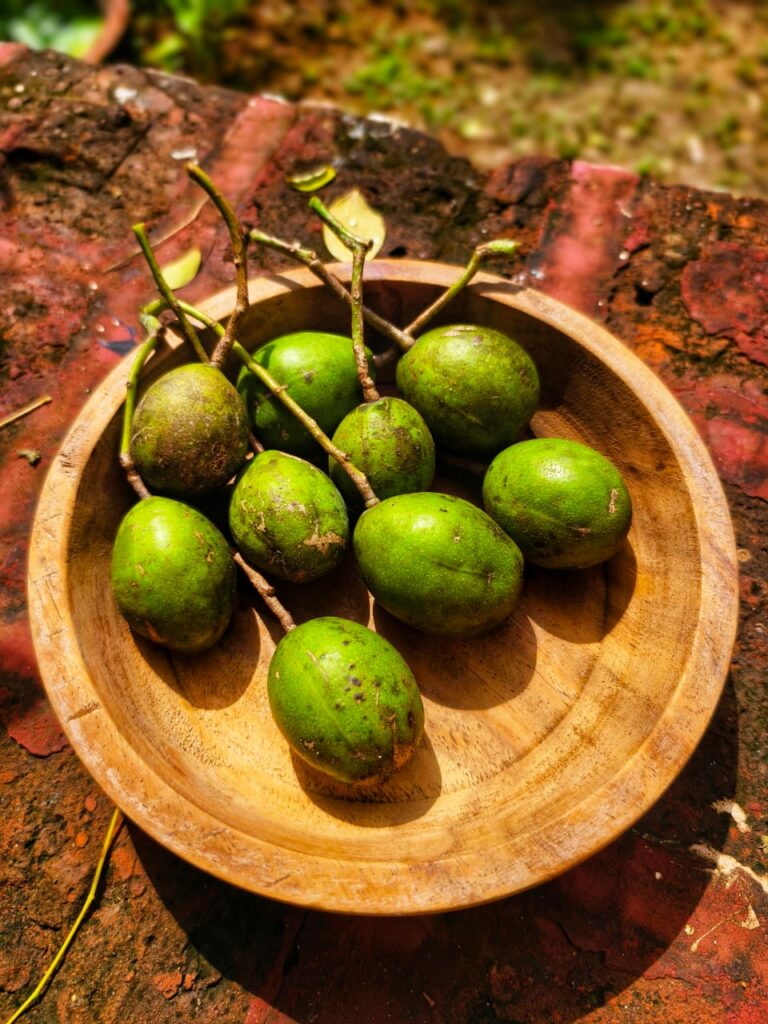 Autumn village food article by Amrita Bhattacharya (4)