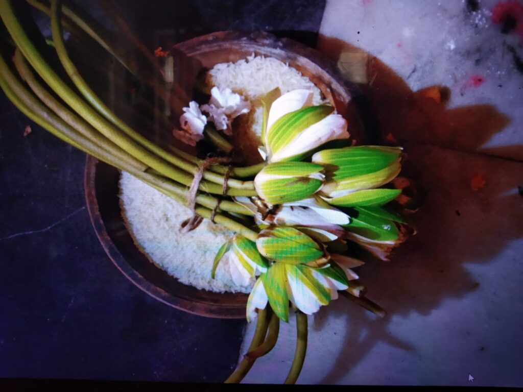 Food article on Durga puja bhog (5)