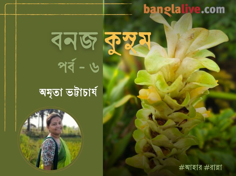 Village food article by Amrita Bhattacharya