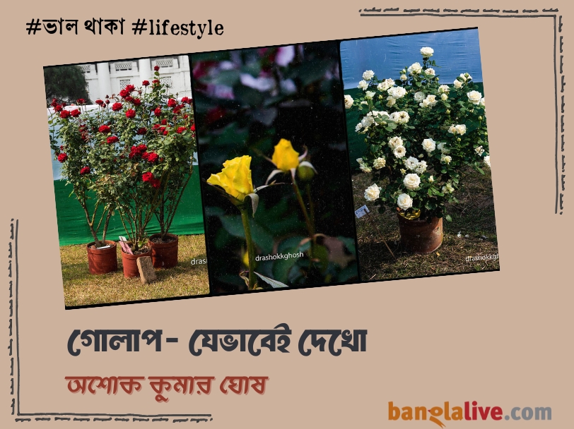 Ashok kr. Ghosh_Lifestyle_Banglalive_17.1.2024