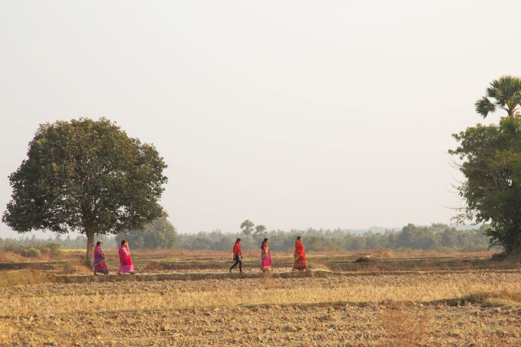 Makar Sankranti and Tusu Festival (2)