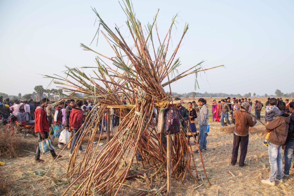 Makar Sankranti and Tusu Festival (3)