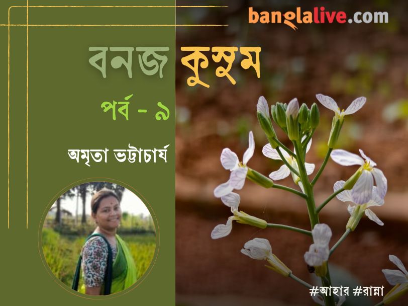 Rural winter food recipe article cover