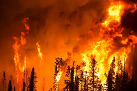 California Wildfires_Tapan Saha Article_24.1.2025